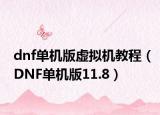 dnf单机版虚拟机教程（DNF单机版11.8）