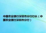 中国农业银行深圳市分行行长（中国农业银行深圳市分行）