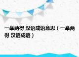 一举两得 汉语成语意思（一举两得 汉语成语）