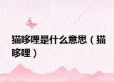 猫哆哩是什么意思（猫哆哩）