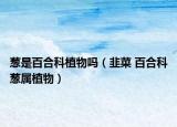 葱是百合科植物吗（韭菜 百合科葱属植物）