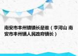 南安市丰州镇镇长是谁（李河山 南安市丰州镇人民政府镇长）