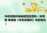 与君初相识电视剧百度百科（林昊青 电视剧《与君初相识》中的角色）