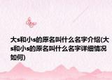 大s和小s的原名叫什么名字介绍(大s和小s的原名叫什么名字详细情况如何)