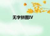 无字拼图Ⅳ