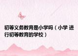 初等义务教育是小学吗（小学 进行初等教育的学校）