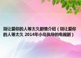 别让爱你的人等太久剧情介绍（别让爱你的人等太久 2014年小岛执导的电视剧）