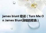 james blunt 歌词（Turn Me On James Blunt演唱的歌曲）