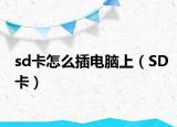 sd卡怎么插电脑上（SD卡）