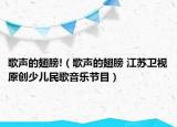 歌声的翅膀!（歌声的翅膀 江苏卫视原创少儿民歌音乐节目）