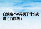 白渡路258弄属于什么街道（白渡路）