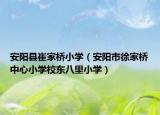 安阳县崔家桥小学（安阳市徐家桥中心小学校东八里小学）