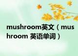 mushroom英文（mushroom 英语单词）