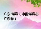 广东 煤炭（中国煤炭志广东卷）
