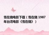 雪在烧电影下载（雪在烧 1987年台湾电影《雪在烧》）