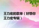 王力宏的歌单（好想你 王力宏专辑）