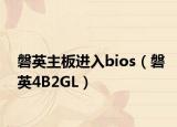 磐英主板进入bios（磐英4B2GL）