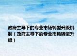 政府主导下的专业市场转型升级机制（政府主导下的专业市场转型升级）