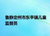 鲁静定州市东亭镇儿童监督员
