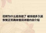 花呗为什么给冻结了 被冻结多久能恢复正常具体情况详细内容介绍