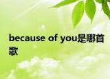 because of you是哪首歌