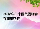 2018年二十国集团峰会在哪里召开