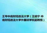 王琴中南财经政法大学（王晓宁 中南财经政法大学外国语学院副教授）