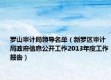 罗山审计局领导名单（新罗区审计局政府信息公开工作2013年度工作报告）
