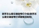 新手怎么看交通信号灯介绍(新手怎么看交通信号灯详细情况如何)