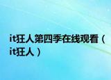 it狂人第四季在线观看（it狂人）