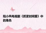 陆小凤电视剧《抓紧时间爱》中的角色