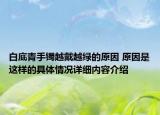 白底青手镯越戴越绿的原因 原因是这样的具体情况详细内容介绍