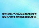 究极绿宝石气息头巾在哪介绍(究极绿宝石气息头巾在哪详细情况如何)