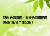 配色 色彩搭配（专业色彩搭配图典设计配色个性配色）