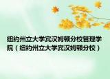 纽约州立大学宾汉姆顿分校管理学院（纽约州立大学宾汉姆顿分校）