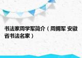 书法家周学军简介（周拥军 安徽省书法名家）