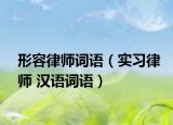 形容律师词语（实习律师 汉语词语）