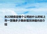 永22转债是哪个公司的什么时候上市一签赚多少具体情况详细内容介绍