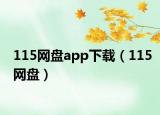 115网盘app下载（115网盘）