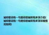 城府歌词有一句是你的城府有多深介绍(城府歌词有一句是你的城府有多深详细情况如何)