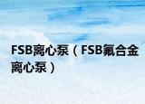 FSB离心泵（FSB氟合金离心泵）