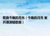 歌曲今晚的月光（今晚的月亮 崔开潮演唱歌曲）