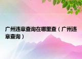 广州违章查询在哪里查（广州违章查询）