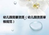幼儿园需要资质（幼儿园资质审核规范）