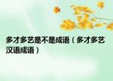 多才多艺是不是成语（多才多艺 汉语成语）