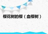 樱花树的樱（血樱树）