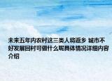 未来五年内农村这三类人将返乡 城市不好发展回村可做什么呢具体情况详细内容介绍