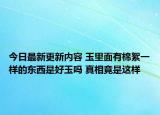 今日最新更新内容 玉里面有棉絮一样的东西是好玉吗 真相竟是这样