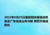 2022年8月25日最新相关报道消息 直击广东迎战台风马鞍 预警升级成橙色