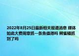 2022年8月25日最新相关报道消息 媒体如此大费周章抓一条鱼值得吗 鳄雀鳝抓到了吗